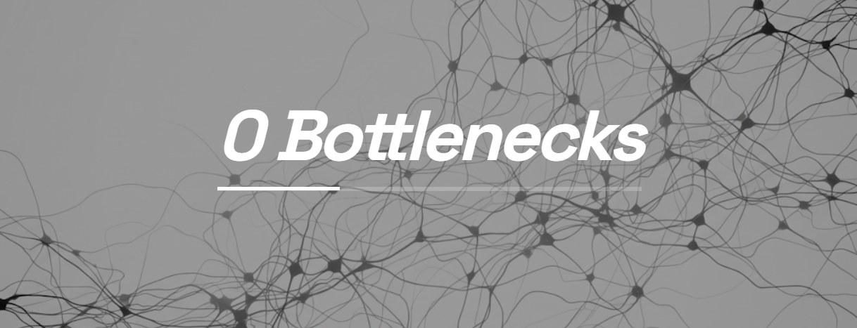 Zero Bottlenecks Architecture